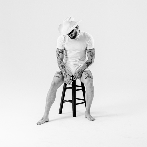 Cover of Mule